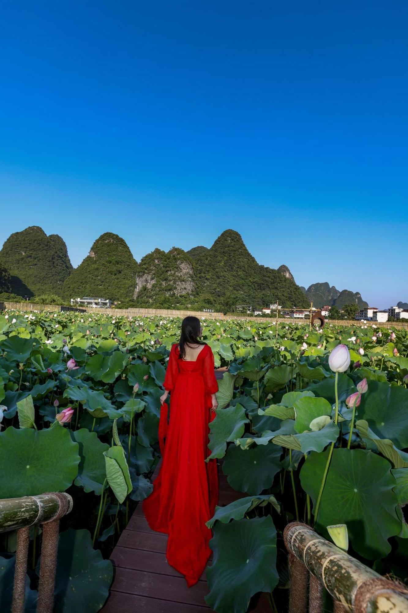 Yangshuo Tea Cozy--One Way Free Pick Up From Airport Or Ts 4 Nights Pensionat Exteriör bild